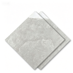 Dongpeng 600×600 Simple Style Ceramic Wall Tiles