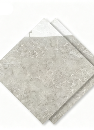 Dongpeng 600×600 Simple Style Ceramic Wall Tiles