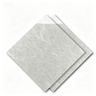 Dongpeng 600×600 Simple Style Ceramic Wall Tiles