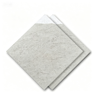 Dongpeng 600×600 Simple Style Ceramic Wall Tiles