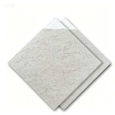 Dongpeng 600×600 Simple Style Ceramic Wall Tiles