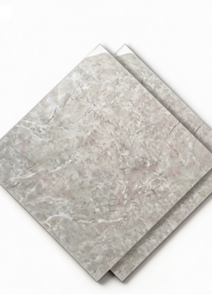 Dongpeng 600×600 Simple Style Ceramic Wall Tiles