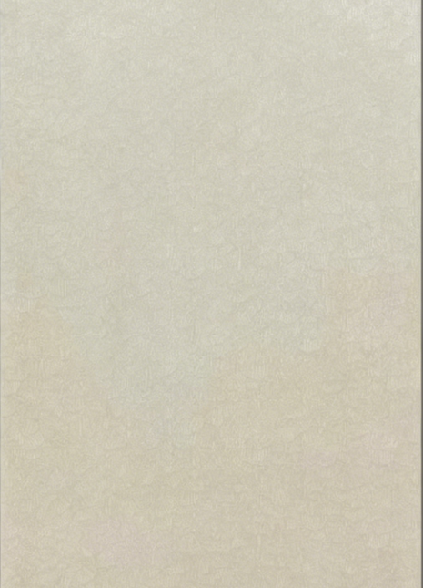 600*1200Antique Tile