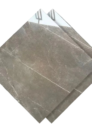 Dongpeng 600×600 Simple Style Ceramic Wall Tiles
