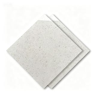 Dongpeng 600×600 Simple Style Ceramic Wall Tiles