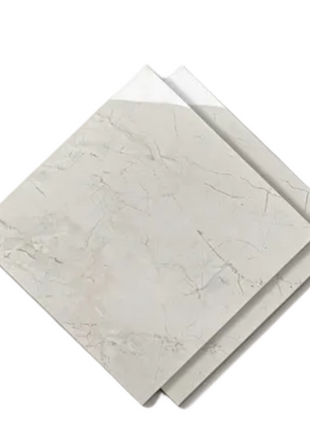 Dongpeng 600×600 Simple Style Ceramic Wall Tiles