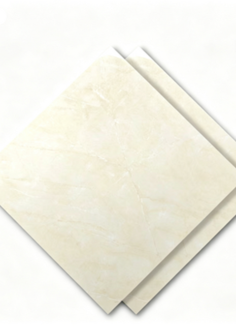 Dongpeng 600×600 Simple Style Ceramic Wall Tiles