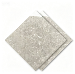Dongpeng 600×600 Simple Style Ceramic Wall Tiles