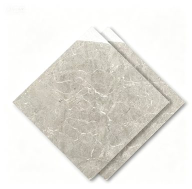 Dongpeng 600×600 Simple Style Ceramic Wall Tiles