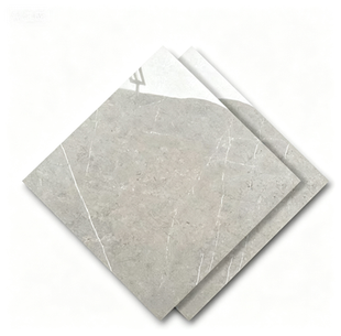 Dongpeng 600×600 Simple Style Ceramic Wall Tiles