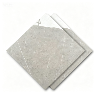 Dongpeng 600×600 Simple Style Ceramic Wall Tiles