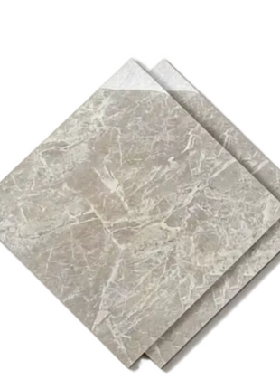 Dongpeng 600×600 Simple Style Ceramic Wall Tiles
