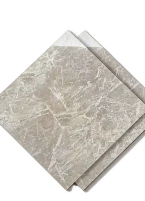 Dongpeng 600×600 Simple Style Ceramic Wall Tiles