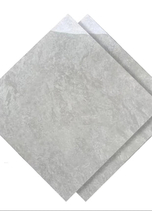 Dongpeng 600×600 Simple Style Ceramic Wall Tiles