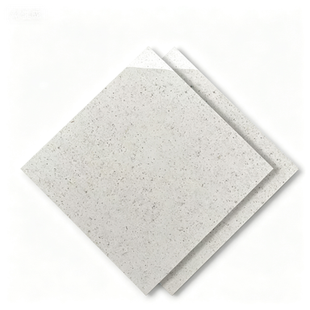 Dongpeng 600×600 Simple Style Ceramic Wall Tiles