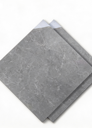 Dongpeng 600×600 Simple Style Ceramic Wall Tiles