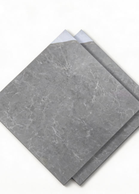 Dongpeng 600×600 Simple Style Ceramic Wall Tiles