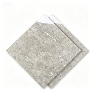 Dongpeng 600×600 Simple Style Ceramic Wall Tiles