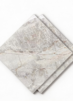 Dongpeng 600×600 Simple Style Ceramic Wall Tiles