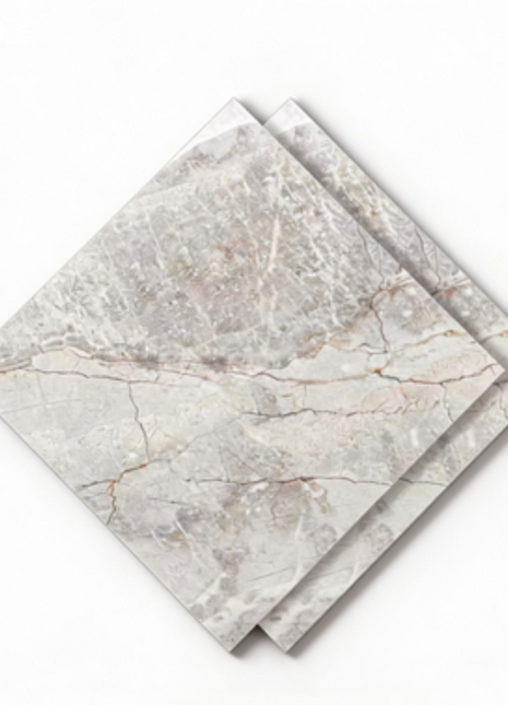 Dongpeng 600×600 Simple Style Ceramic Wall Tiles