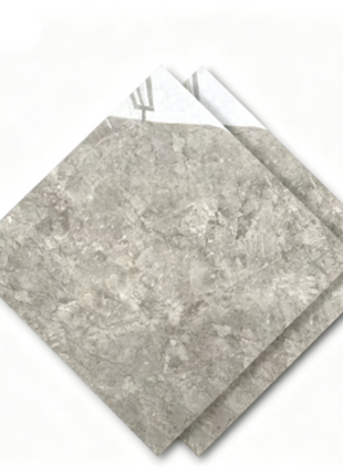 Dongpeng 600×600 Simple Style Ceramic Wall Tiles