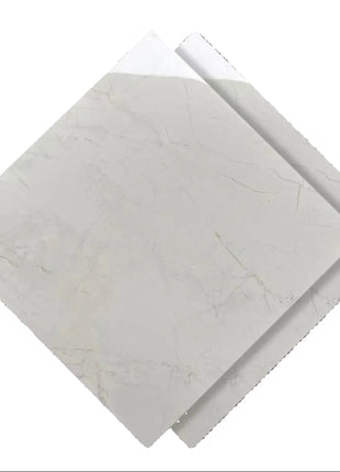 Dongpeng 600×600 Simple Style Ceramic Wall Tiles