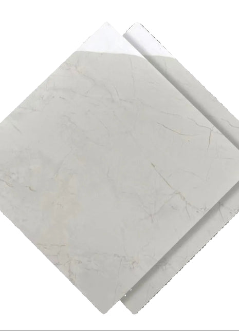 Dongpeng 600×600 Simple Style Ceramic Wall Tiles