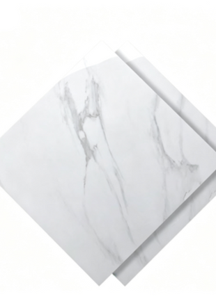 Dongpeng 600×600 Simple Style Ceramic Wall Tiles