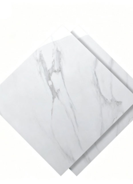 Dongpeng 600×600 Simple Style Ceramic Wall Tiles