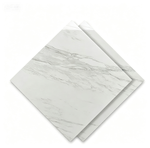 Dongpeng 600×600 Simple Style Ceramic Wall Tiles