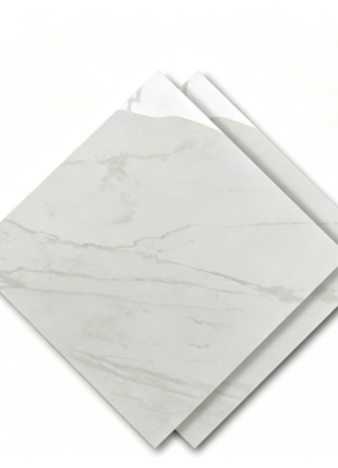 Dongpeng 600×600 Simple Style Ceramic Wall Tiles