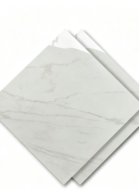 Dongpeng 600×600 Simple Style Ceramic Wall Tiles
