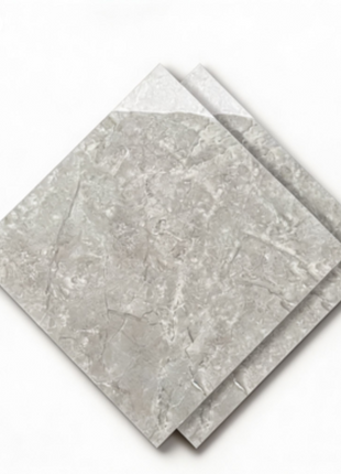 Dongpeng 600×600 Simple Style Ceramic Wall Tiles