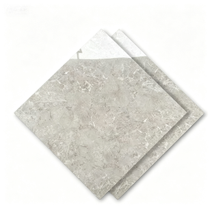 Dongpeng 600×600 Simple Style Ceramic Wall Tiles