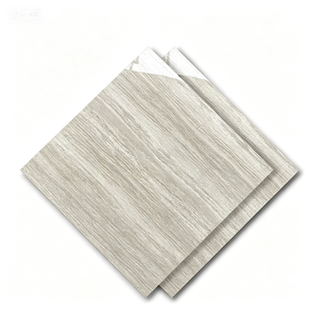 Dongpeng 600×600 Simple Style Ceramic Wall Tiles