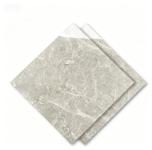 Dongpeng 600×600 Simple Style Ceramic Wall Tiles