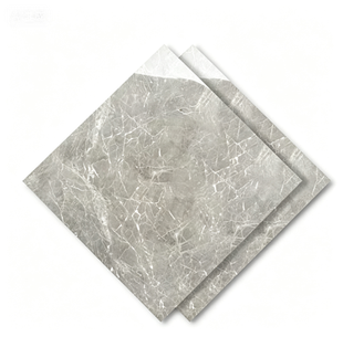 Dongpeng 600×600 Simple Style Ceramic Wall Tiles