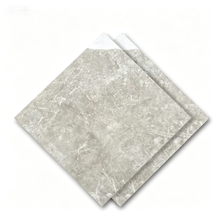 Dongpeng 600×600 Simple Style Ceramic Wall Tiles