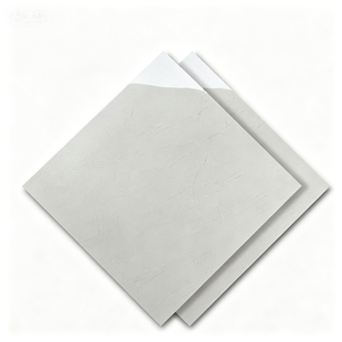 Dongpeng 600×600 Simple Style Ceramic Wall Tiles