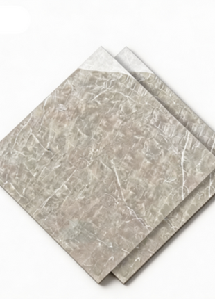 Dongpeng 600×600 Simple Style Ceramic Wall Tiles