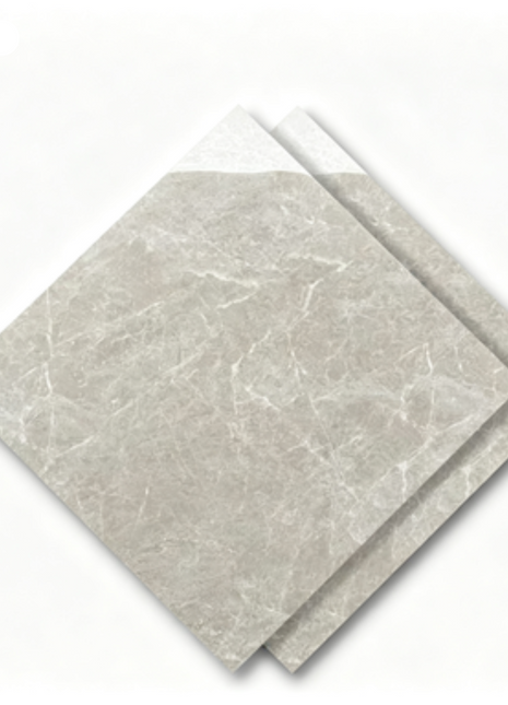 Dongpeng 600×600 Simple Style Ceramic Wall Tiles