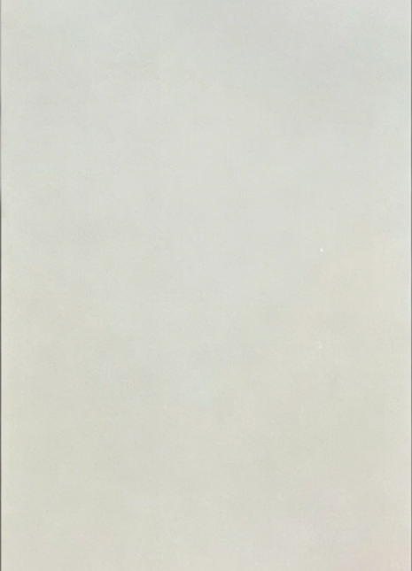 750*1500Antique Tile