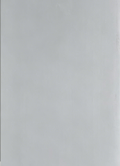 600*1200Antique Tile