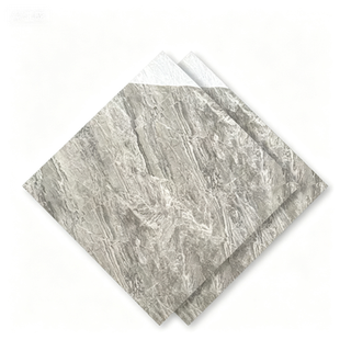 Dongpeng 600×600 Simple Style Ceramic Wall Tiles