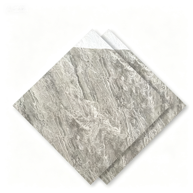 Dongpeng 600×600 Simple Style Ceramic Wall Tiles