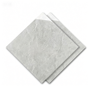 Dongpeng 600×600 Simple Style Ceramic Wall Tiles