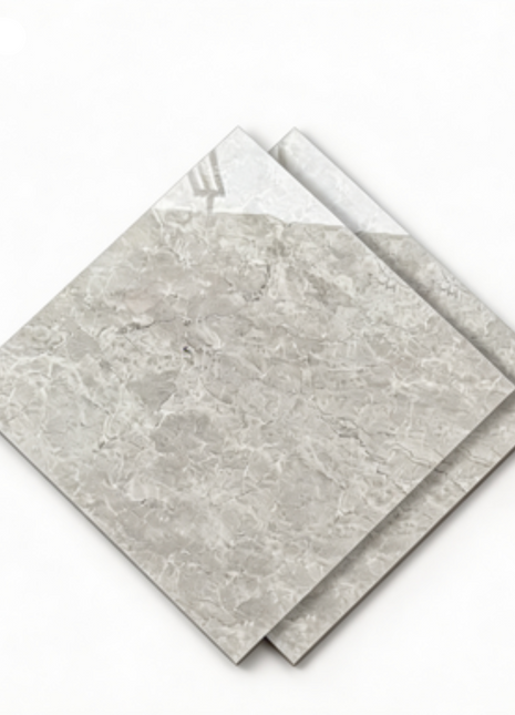 Dongpeng 600×600 Simple Style Ceramic Wall Tiles