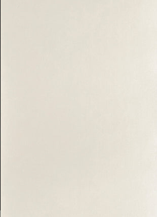 Guanzhu 900×1800 Matte Large Slab