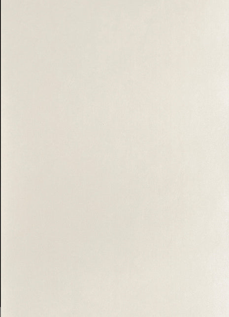 Guanzhu 900×1800 Matte Large Slab