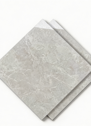 Dongpeng 600×600 Simple Style Ceramic Wall Tiles